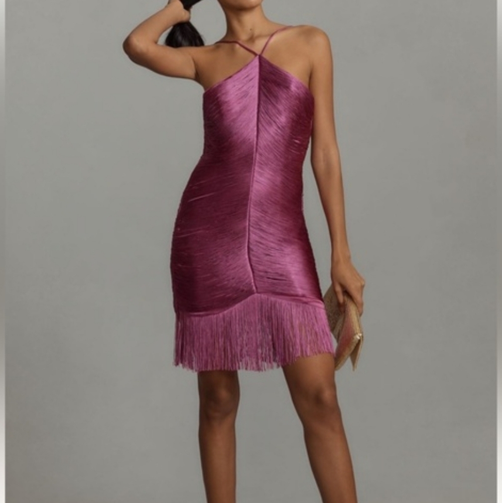 Saylor Vianne Fringe Cocktail Dress Size: X-Small